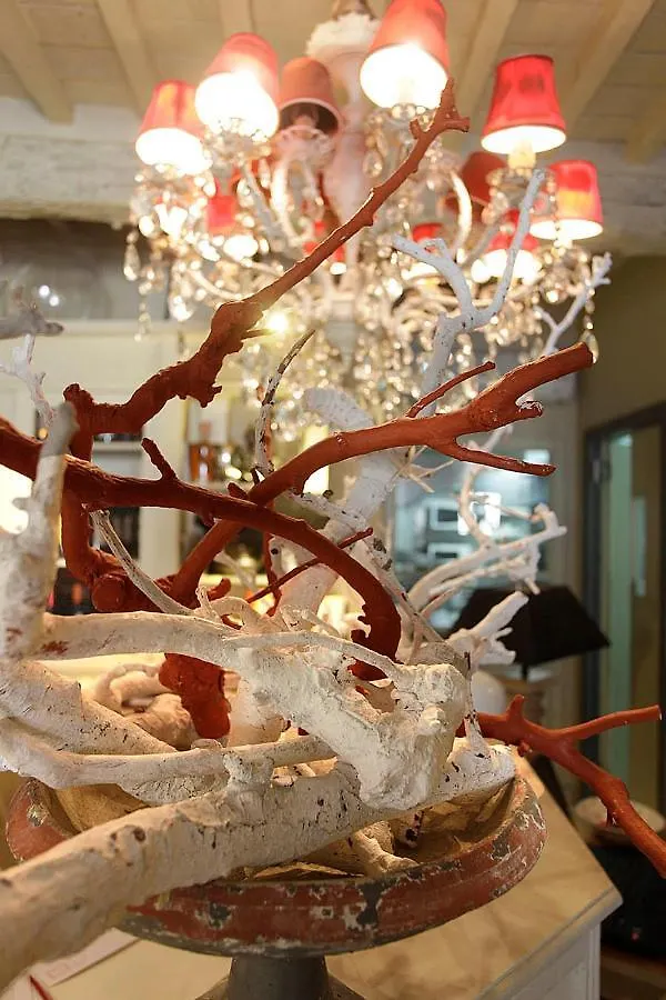 Locanda Il Canovaccio Campiglia Marittima Bed & Breakfast